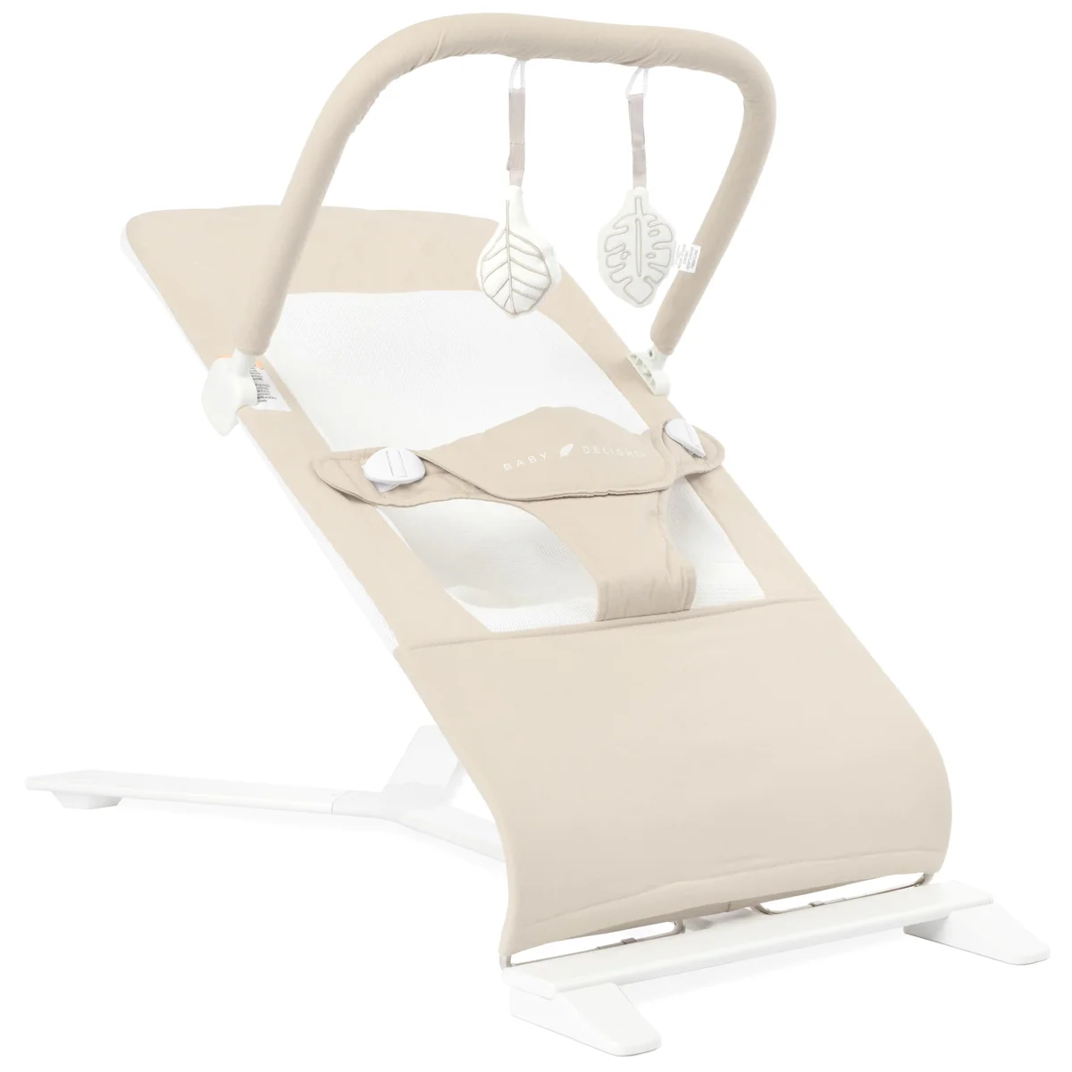 Baby Delight Bouncer