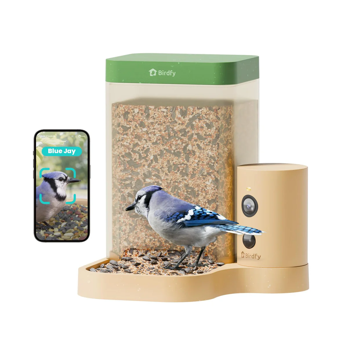 Birdfy Smart Bird Feeder