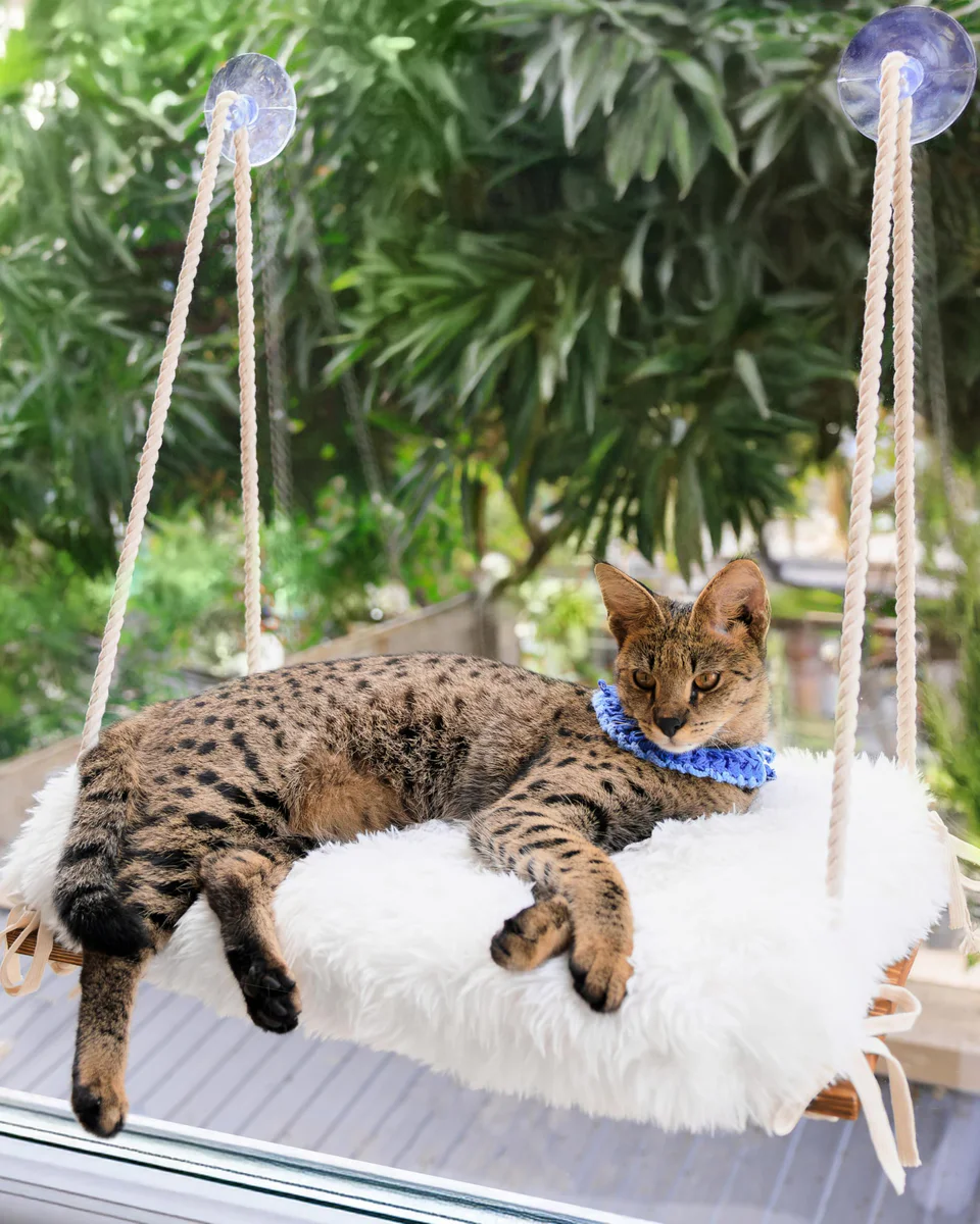 Furrfinity Cat Window Perch