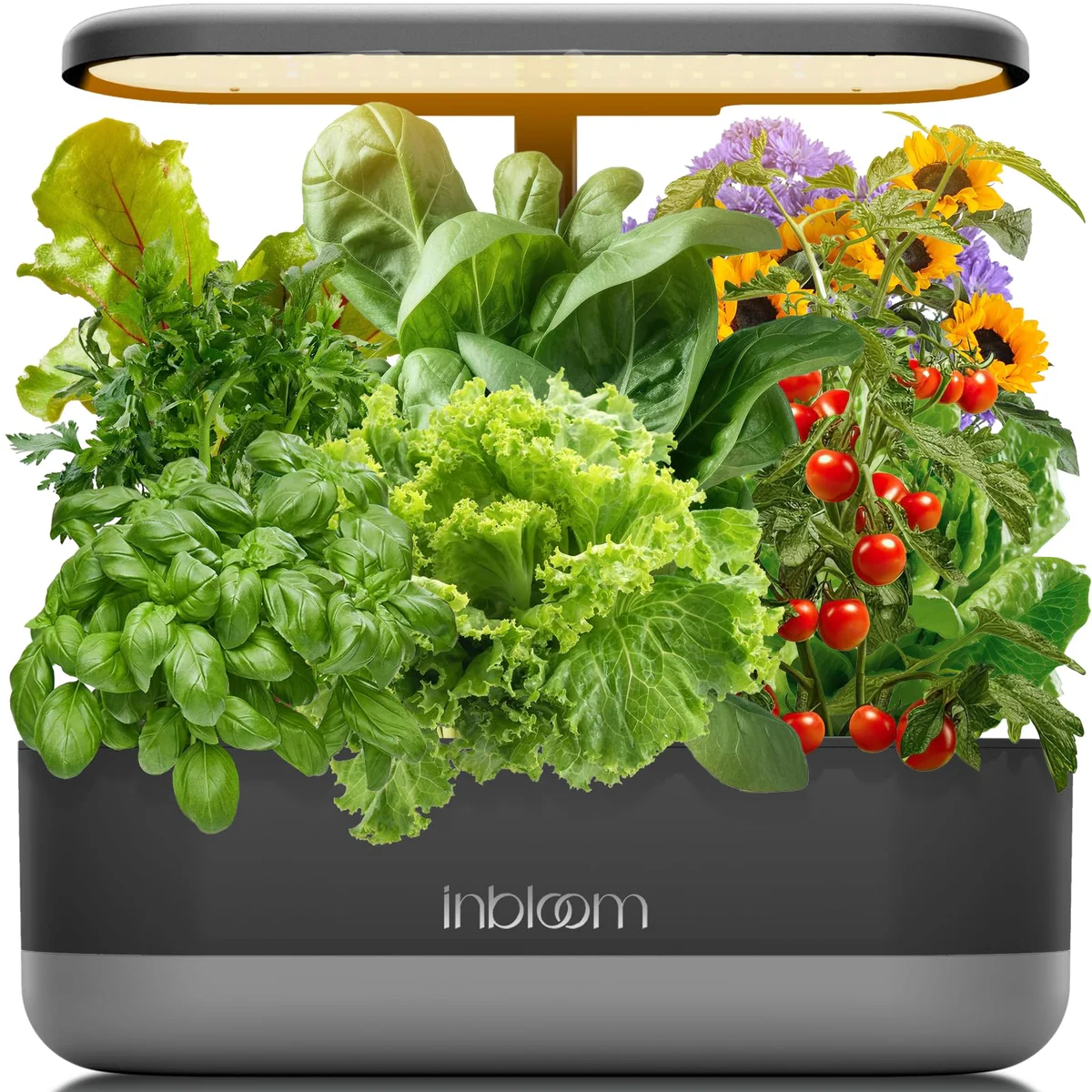 inbloom Indoor Herb Garden Kit with LED Grow Light