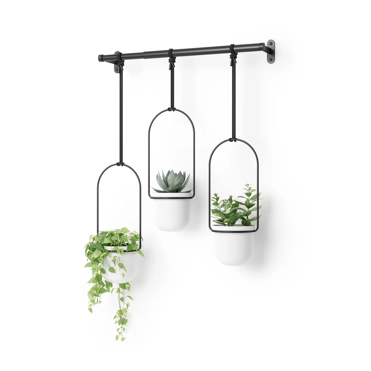 Umbra Triflora Hanging Planter