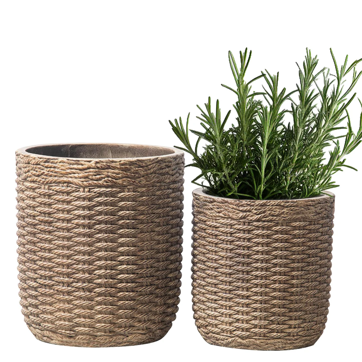 Yundu Concrete Planter Set of 2