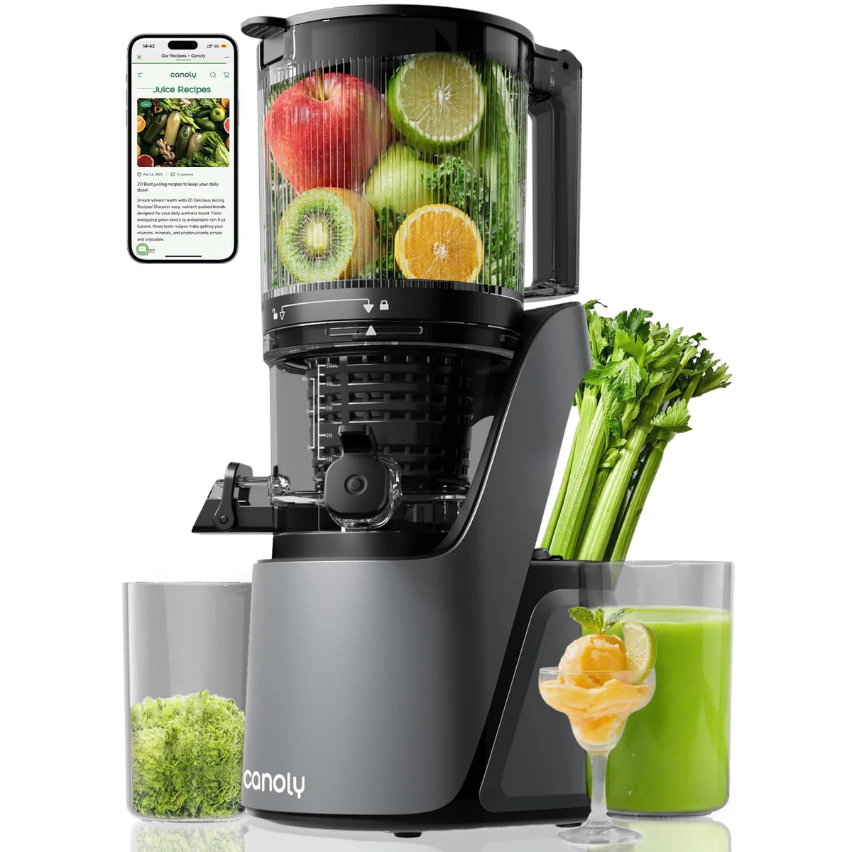 Canoly Slow Juicer
