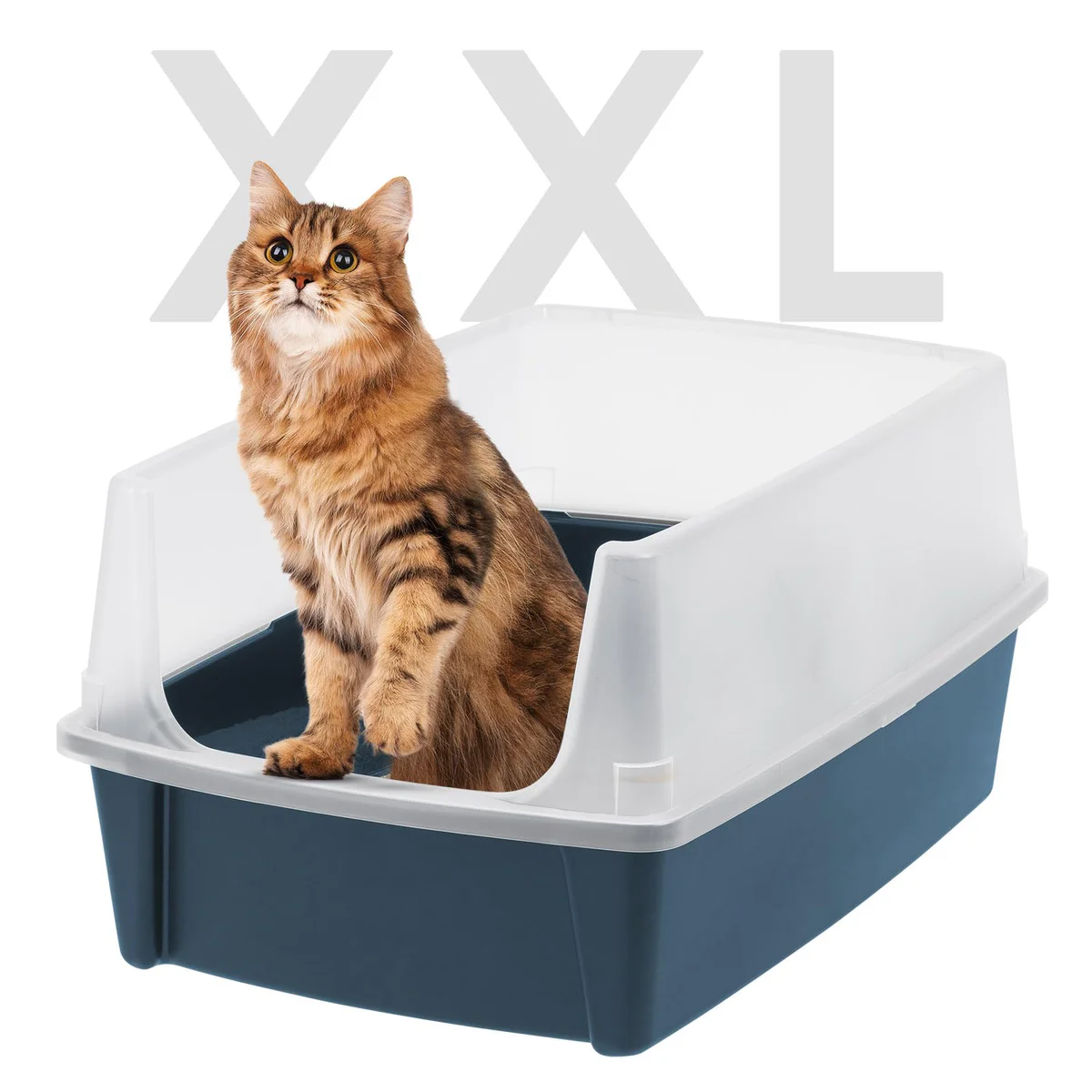IRIS USA Open Top Litter Box