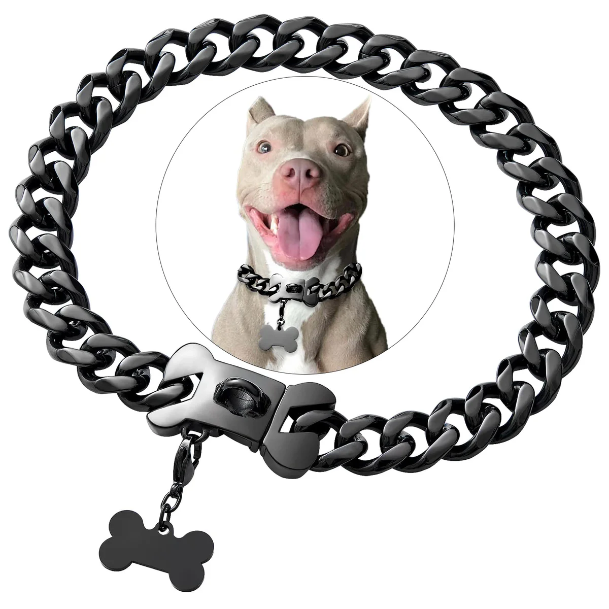 Petoo Dog Collar