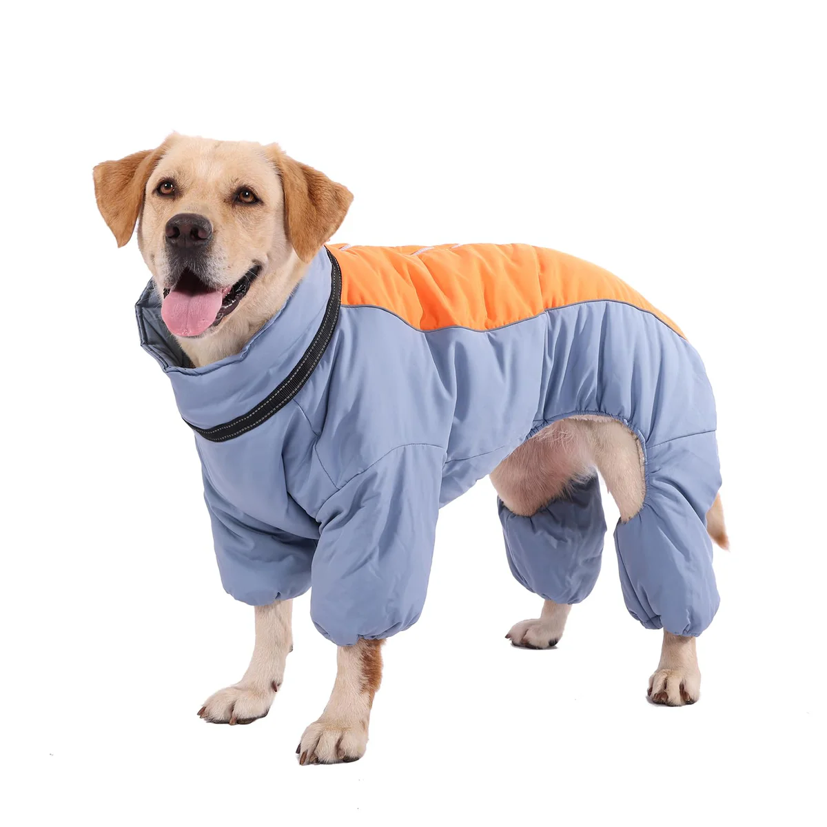 LOVINFURBABY Dog Winter Coat