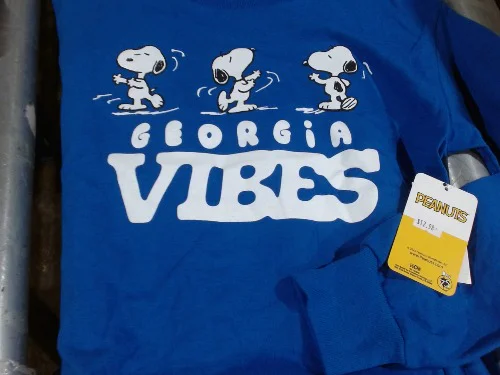 Peanuts Vibes Youth Long Sleeve TShirt