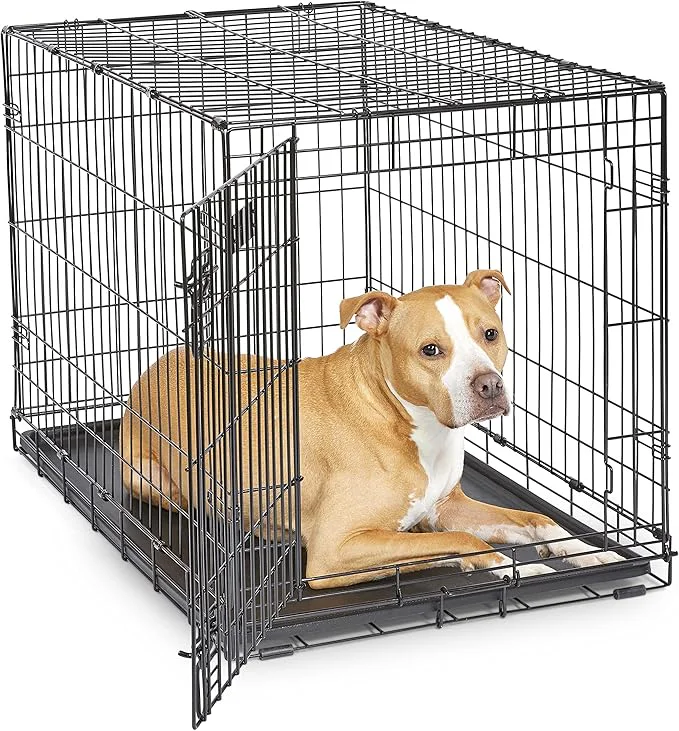 Dog Crate MidWest ICrate 36 Inch Folding Metal Dog Crate