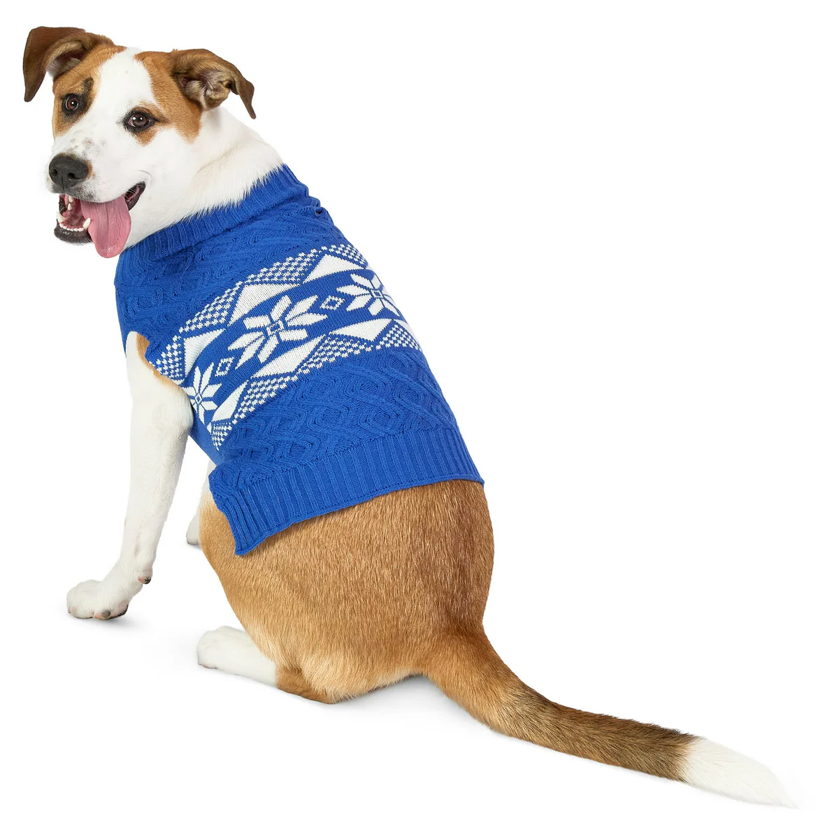 Vibrant Life Dog Sweater