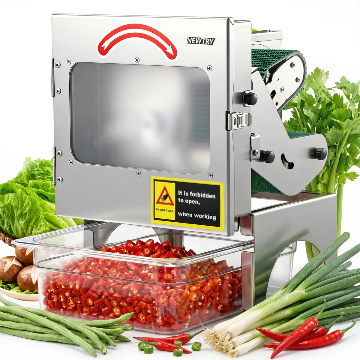 NEWTRY Electric Vegetable Slicer Machine