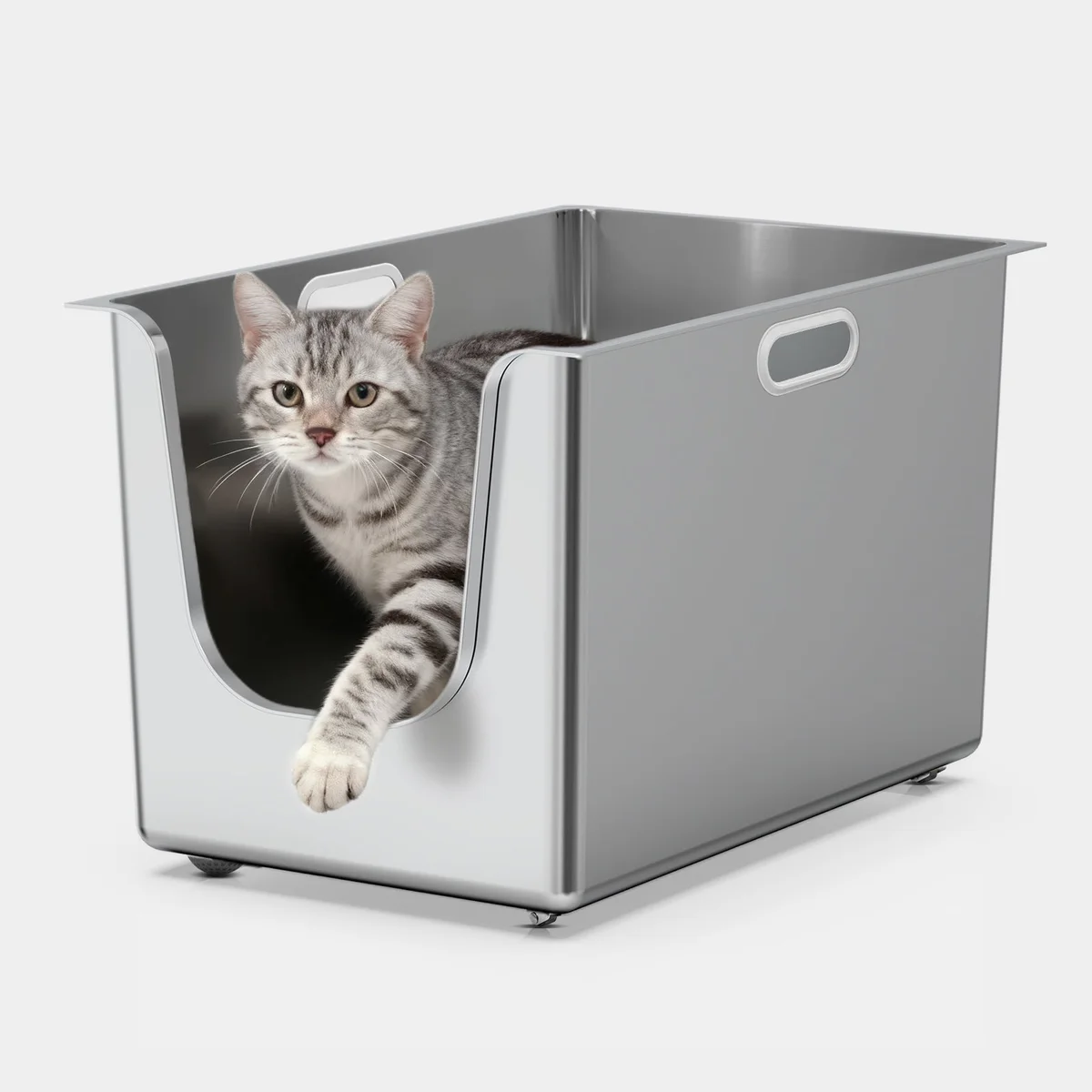 Ptlom Litter Box