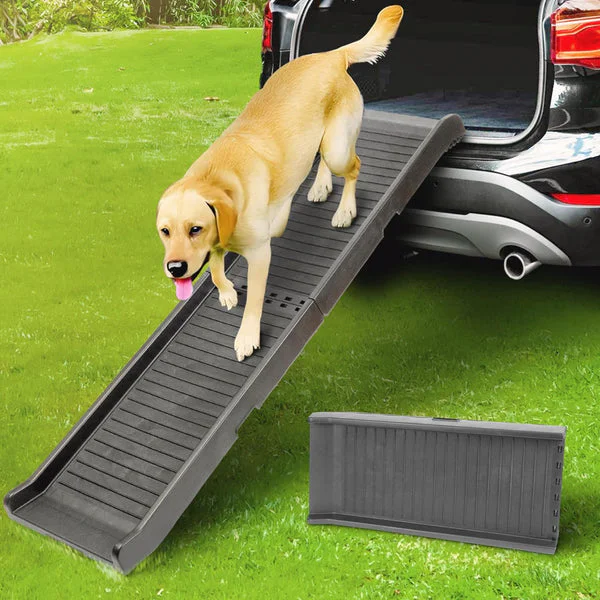 PriorPet Dog Ramp