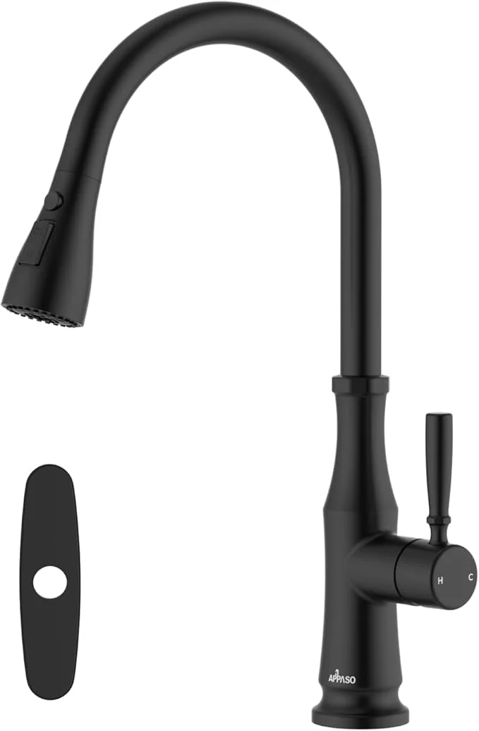 DANPOO Pull-Down Kitchen Faucet