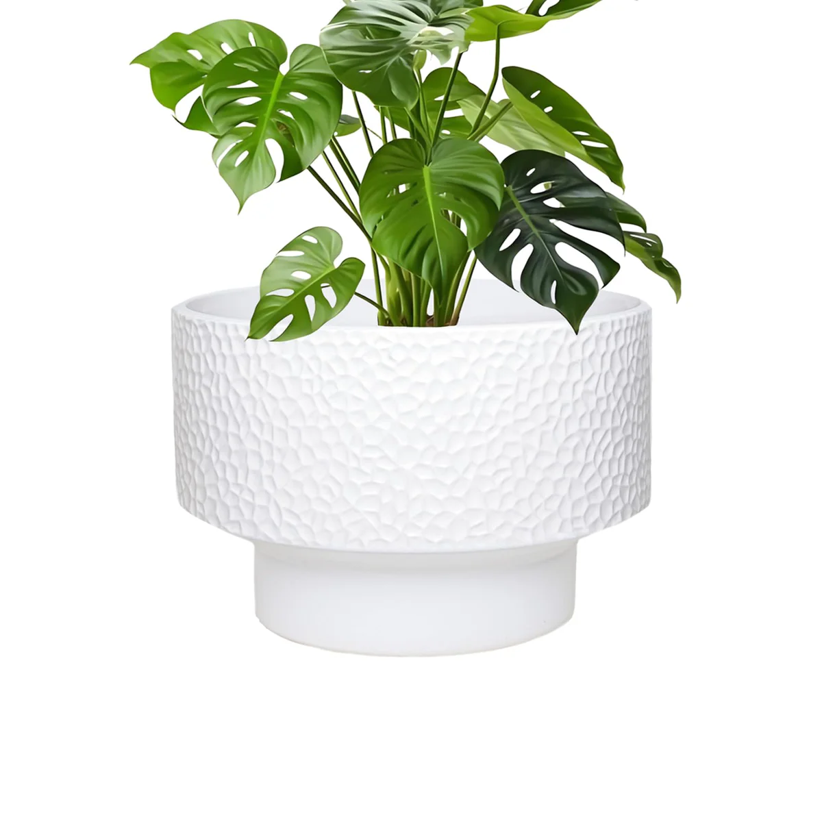 Fzfeiyy Ceramic Planter Pot
