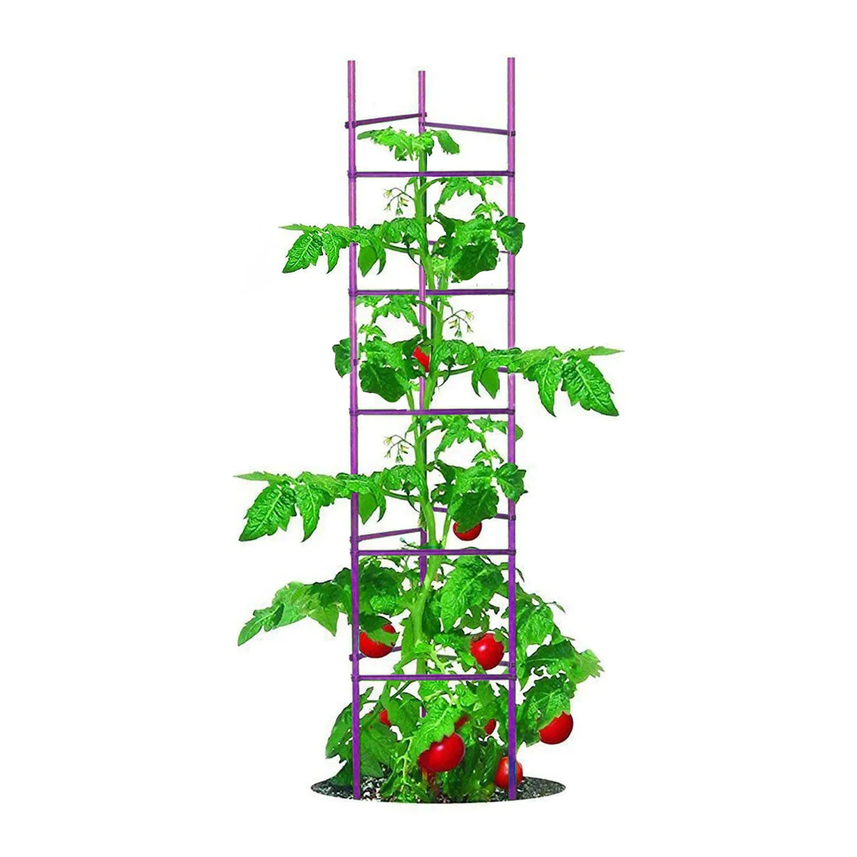 Growsun Tomato Cage