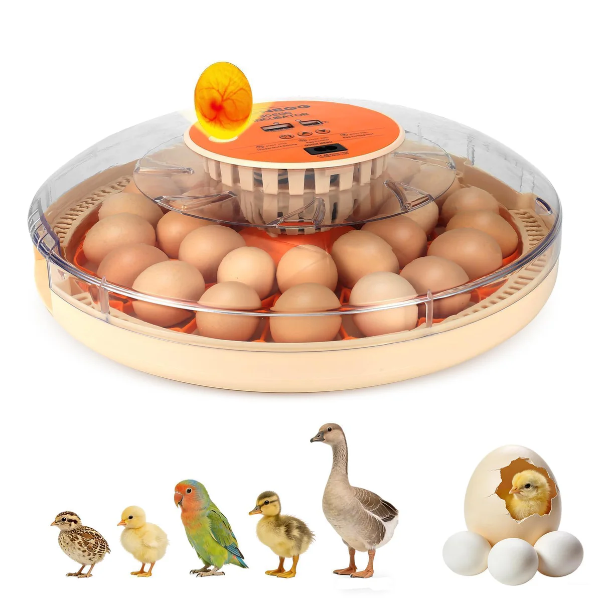 ZEMIRO CHARGE Egg Incubator